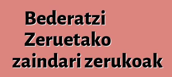 Bederatzi Zeruetako zaindari zerukoak