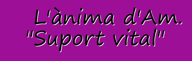 L'ànima d'Am. "Suport vital"