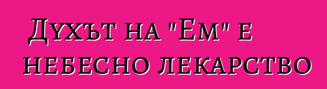 Духът на "Ем" е небесно лекарство