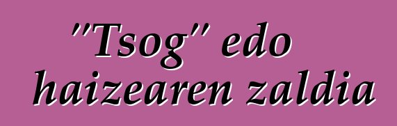 "Tsog" edo haizearen zaldia