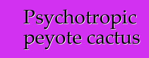 Psychotropic peyote cactus