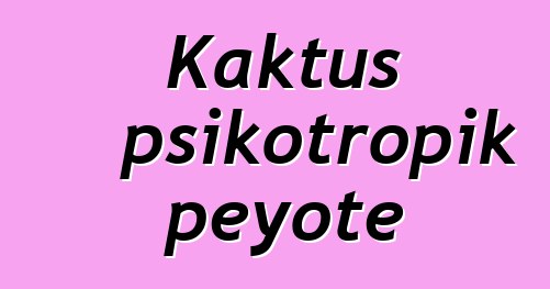 Kaktus psikotropik peyote