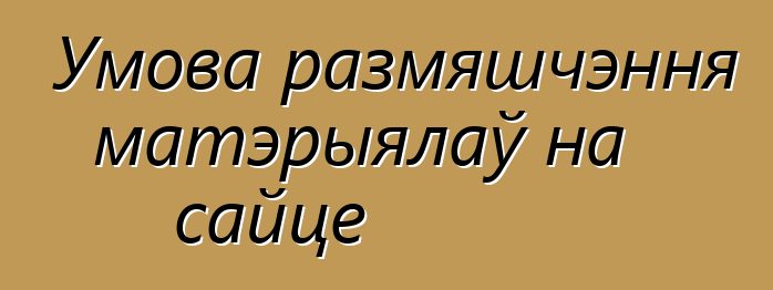 Умова размяшчэння матэрыялаў на сайце