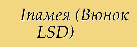 Іпамея (Вюнок LSD)