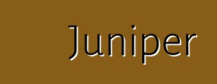 Juniper