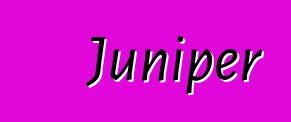 Juniper