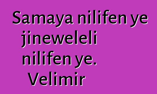 Samaya nilifɛn ye jinɛweleli nilifɛn ye. Velimir