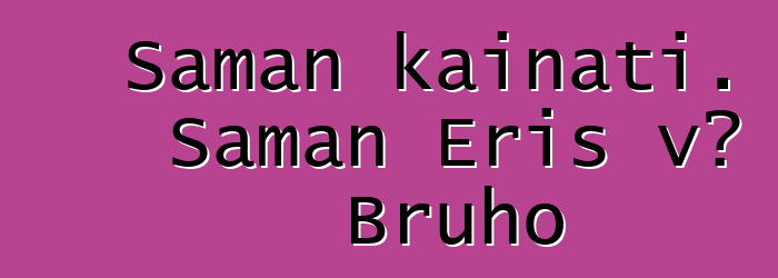 Şaman kainatı. Şaman Eris və Bruho