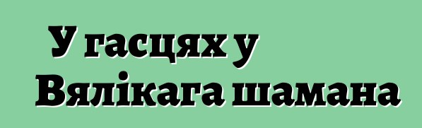 У гасцях у Вялікага шамана