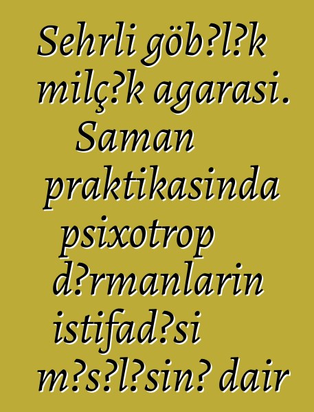 Sehrli göbələk milçək ağarası. Şaman praktikasında psixotrop dərmanların istifadəsi məsələsinə dair