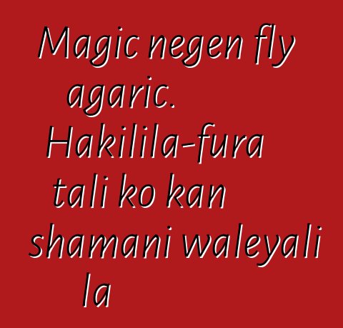 Magic ɲɛgɛn fly agaric. Hakilila-fura tali ko kan shamani waleyali la