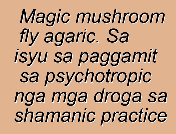 Magic mushroom fly agaric. Sa isyu sa paggamit sa psychotropic nga mga droga sa shamanic practice