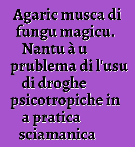 Agaric musca di fungu magicu. Nantu à u prublema di l'usu di droghe psicotropiche in a pratica sciamanica