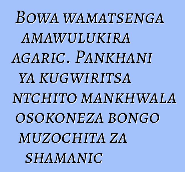 Bowa wamatsenga amawulukira agaric. Pankhani ya kugwiritsa ntchito mankhwala osokoneza bongo muzochita za shamanic