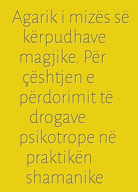 Agarik i mizës së kërpudhave magjike. Për çështjen e përdorimit të drogave psikotrope në praktikën shamanike