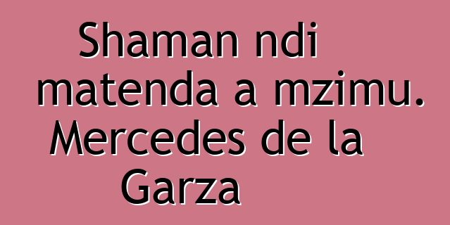 Shaman ndi matenda a mzimu. Mercedes de la Garza