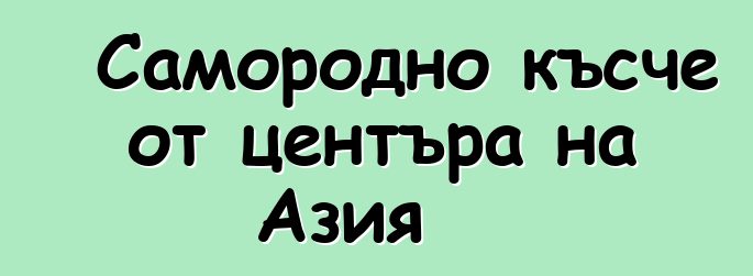 Самородно късче от центъра на Азия